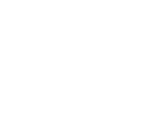 Your Company