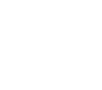 Your Company